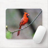 Tapis De Souris Mousepad cardinal (Avec souris)