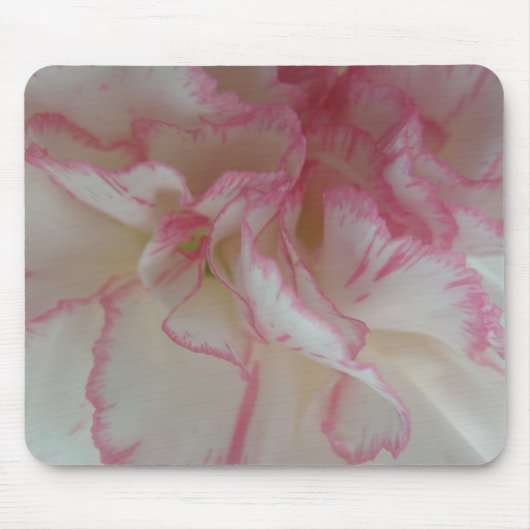 Tapis De Souris Mousepad carnation blanche et rose (Devant)