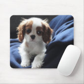 Tapis De Souris Mousepad cavalier de chiot du Roi Charles (Avec souris)