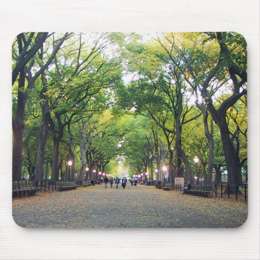 Tapis De Souris Mousepad - Central Park de NY (Devant)