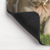 Tapis De Souris Mousepad, chien de chiot de taureau anglais (Coin)