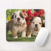 Tapis De Souris Mousepad, chien de chiot de taureau anglais (Avec souris)