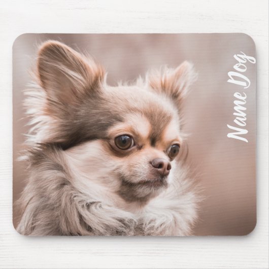 TAPIS DE SOURIS MOUSEPAD CHIHUAHUA (Devant)
