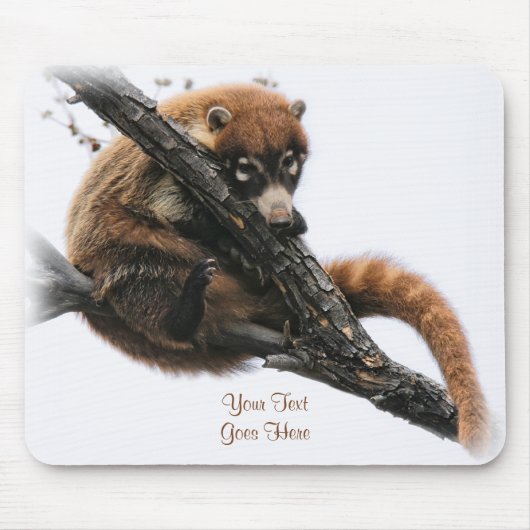 Tapis De Souris Mousepad : Coatimundi #5 (Devant)