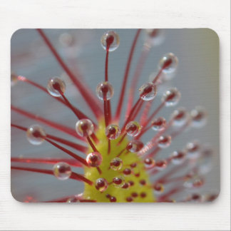 Tapis De Souris Mousepad collant de tentacules de Sundew
