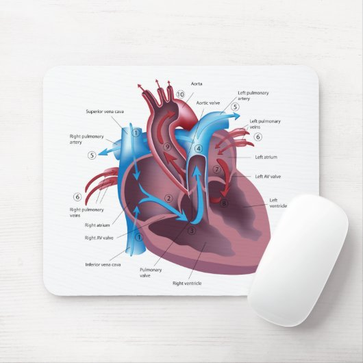 Tapis De Souris Mousepad d'anatomie de coeur (Avec souris)