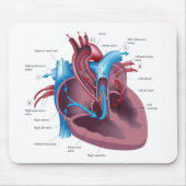 Tapis De Souris Mousepad d'anatomie de coeur (Devant)