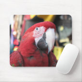 Tapis De Souris Mousepad d'ara (Avec souris)