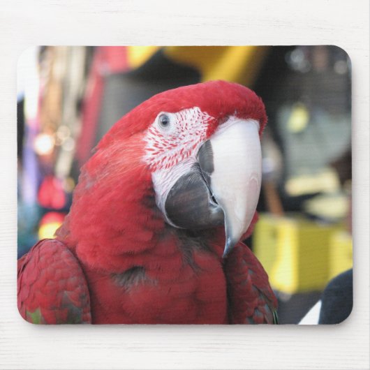 Tapis De Souris Mousepad d'ara (Devant)