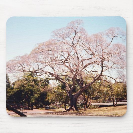 Tapis De Souris mousepad d'arbre (Devant)