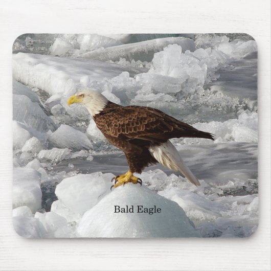 Tapis De Souris Mousepad de Bald Eagle (Devant)