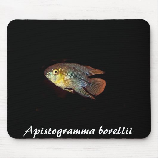 Tapis De Souris Mousepad de borellii d'Apistogramma (Devant)