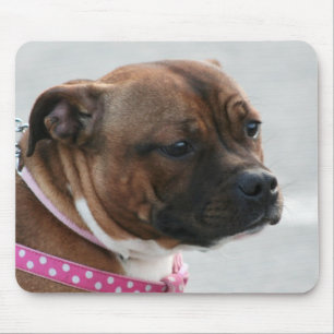 Tapis De Souris Mousepad de bull-terrier du Staffordshire