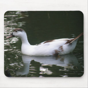 Tapis De Souris Mousepad de canard en bouteille
