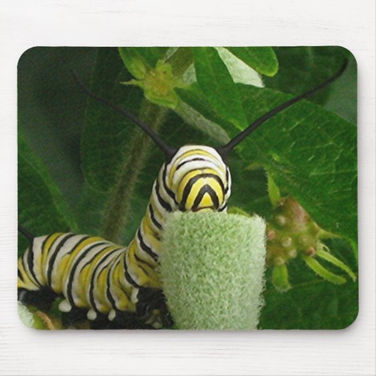Tapis De Souris Mousepad de CATERPILLAR de MONARQUE (Devant)