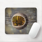 Tapis De Souris Mousepad de cellule humaine (Avec souris)