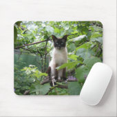 Tapis De Souris Mousepad de chat (Avec souris)