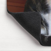 Tapis De Souris mousepad de chat (Coin)