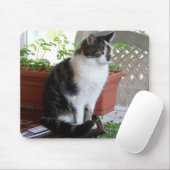 Tapis De Souris mousepad de chat (Avec souris)