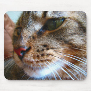 Tapis De Souris Mousepad de chat tigré