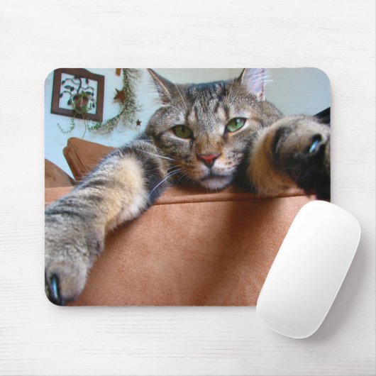 Tapis De Souris Mousepad de chat tigré (Avec souris)