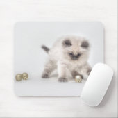 Tapis De Souris Mousepad de chaton de Ragdoll (Avec souris)