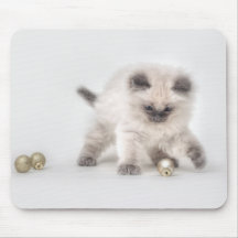 Mousepad de chaton de Ragdoll