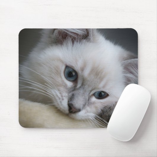 Tapis De Souris mousepad de chaton de ragdoll (Avec souris)