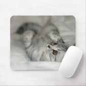Tapis De Souris Mousepad de chaton repéré par argent (Avec souris)