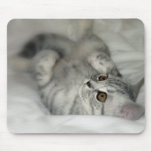 Tapis De Souris Mousepad de chaton repéré par argent