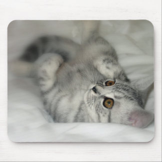 Tapis De Souris Mousepad de chaton repéré par argent
