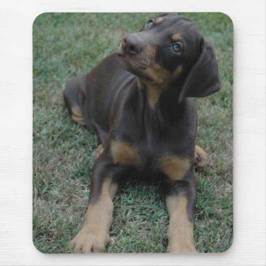 Tapis De Souris Mousepad de chiot de dobermann (Devant)