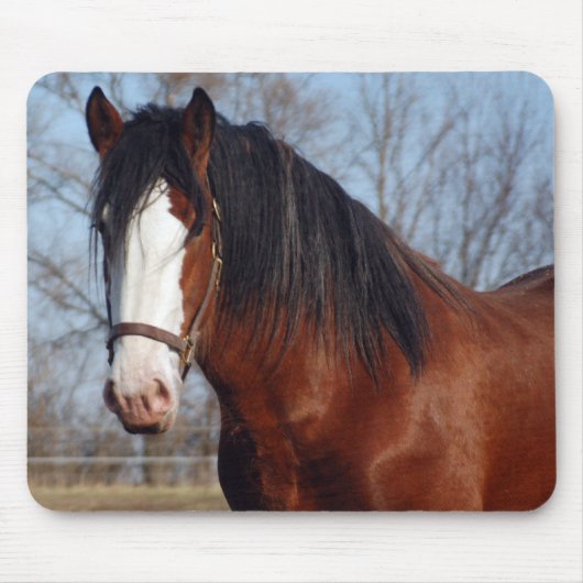 Tapis De Souris Mousepad de Clydesdale (Devant)