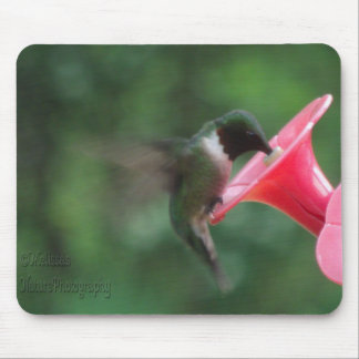 Tapis De Souris mousepad de colibri