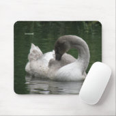 Tapis De Souris Mousepad de cygne endormi (Avec souris)