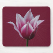Tapis De Souris Mousepad de ~ de la tulipe w/sunburst (Devant)