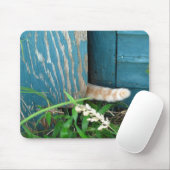 Tapis De Souris Mousepad de ~ de queue de chat (Avec souris)