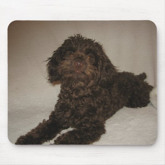 Tapis De Souris mousepad de doogy (Devant)