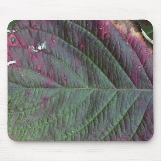 Tapis De Souris mousepad de feuille (Devant)