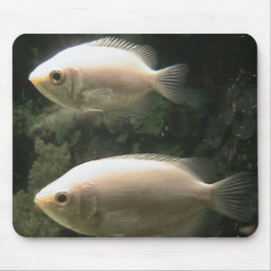 Tapis De Souris Mousepad de Fishies