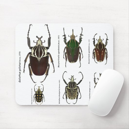 Tapis De Souris Mousepad de Goliath (Avec souris)