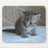 Tapis De Souris Mousepad de Habu (Devant)