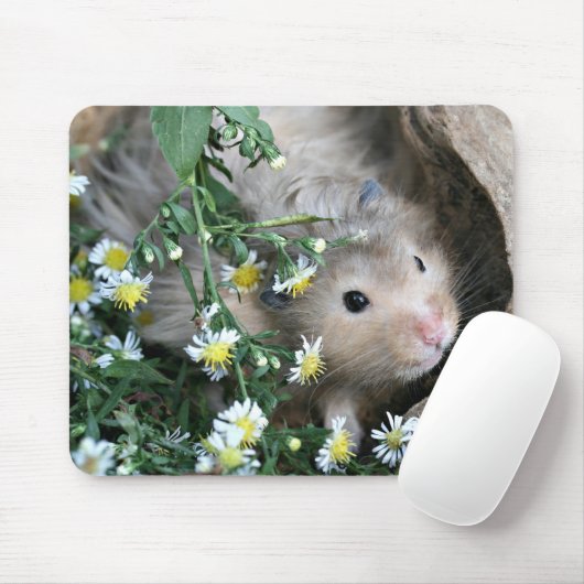 Tapis De Souris mousepad de hamster (Avec souris)