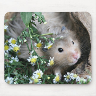 Tapis De Souris mousepad de hamster