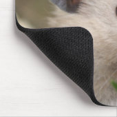 Tapis De Souris mousepad de hamster (Coin)