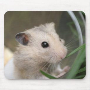 Tapis De Souris mousepad de hamster