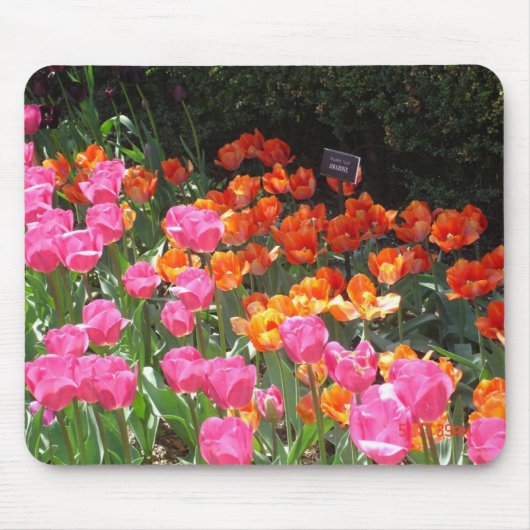 Tapis De Souris Mousepad de jardin de tulipe (Devant)