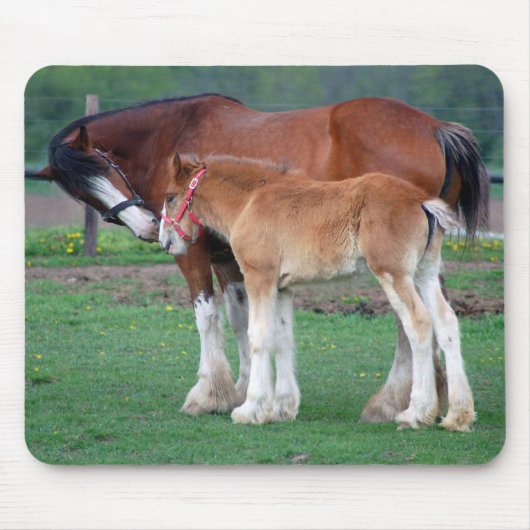 Tapis De Souris mousepad de jument et de colt 2 (Devant)
