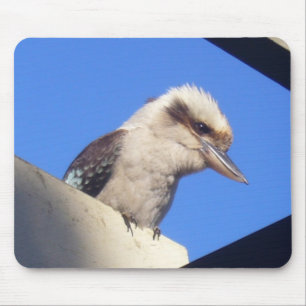 Tapis De Souris mousepad de kookaburra