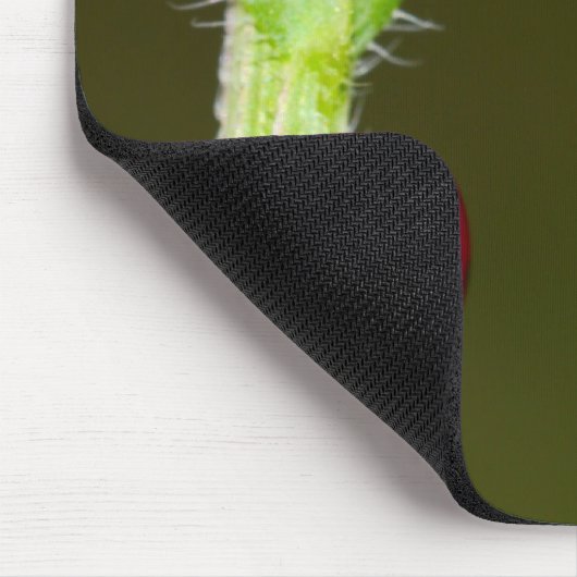 Tapis De Souris Mousepad de Ladybeetle (Coin)